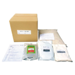 ラストン立ち上がり