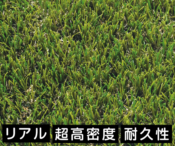 ハーモニーターフリアル