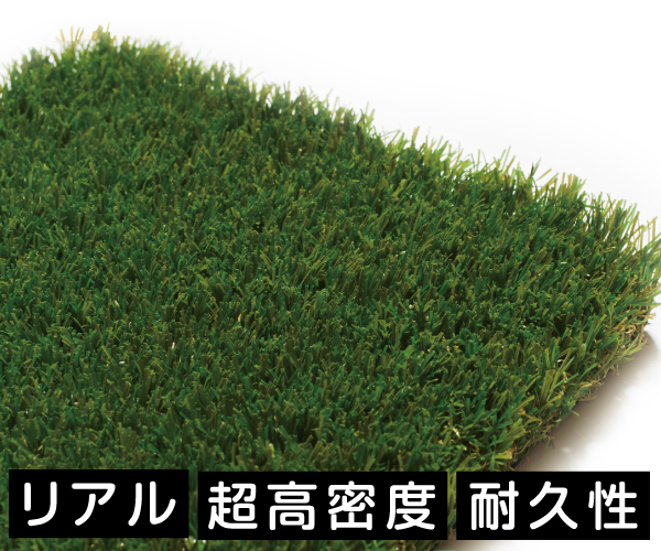 ハーモニーターフソフト