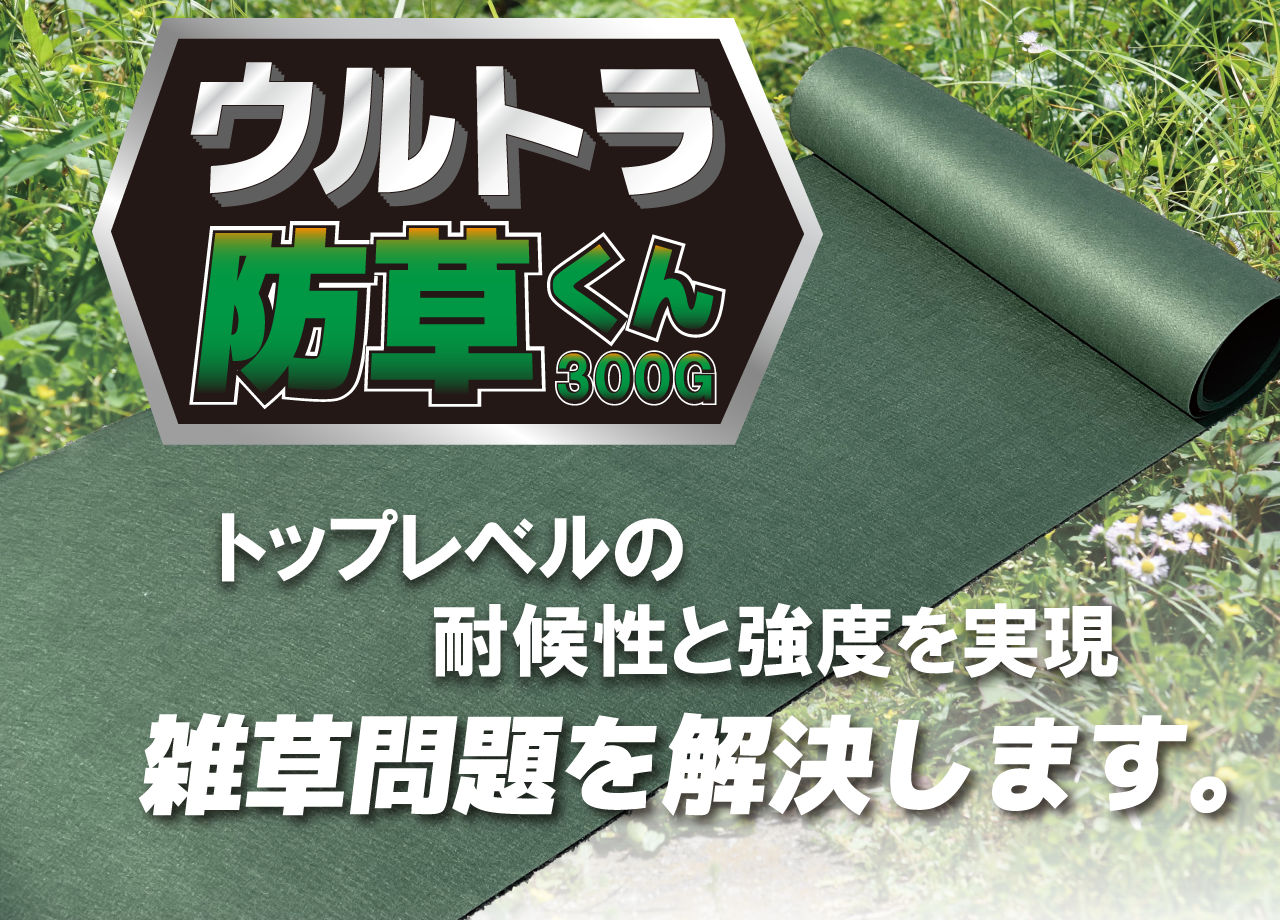 レスポンシブ画像